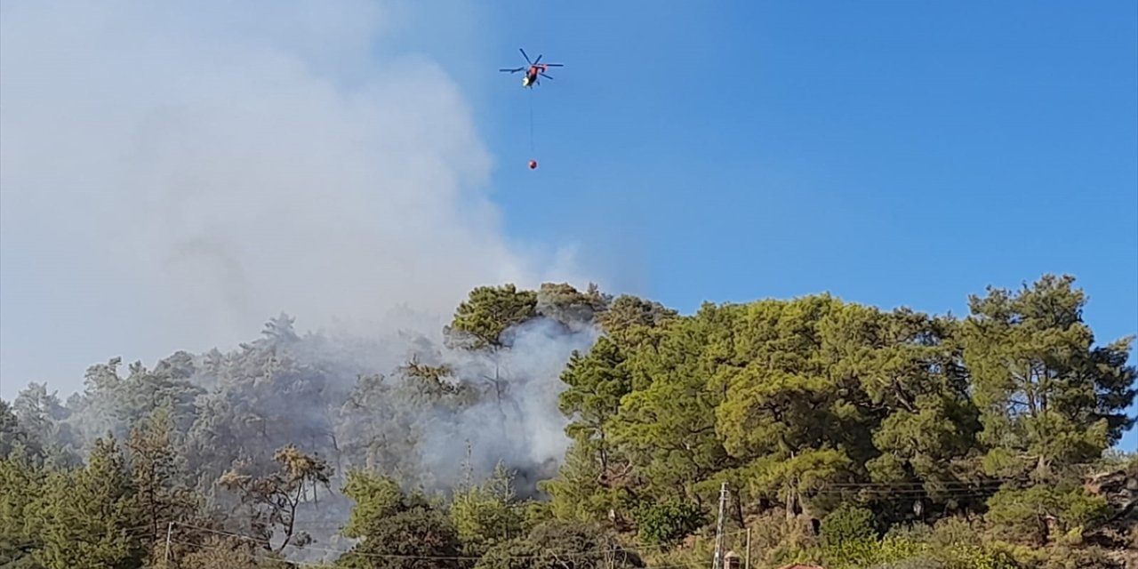 GÜNCELLEME - Antalya'da çıkan orman yangını kontrol altına alındı