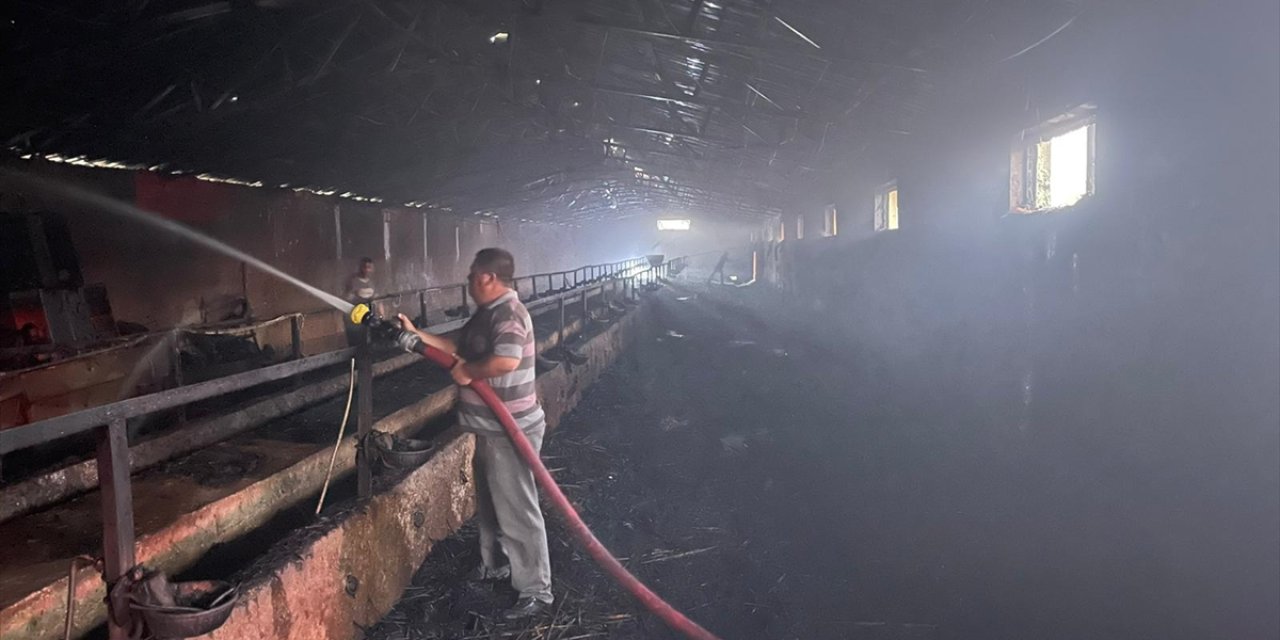 Kulu'da besihanede çıkan yangın hasara neden oldu
