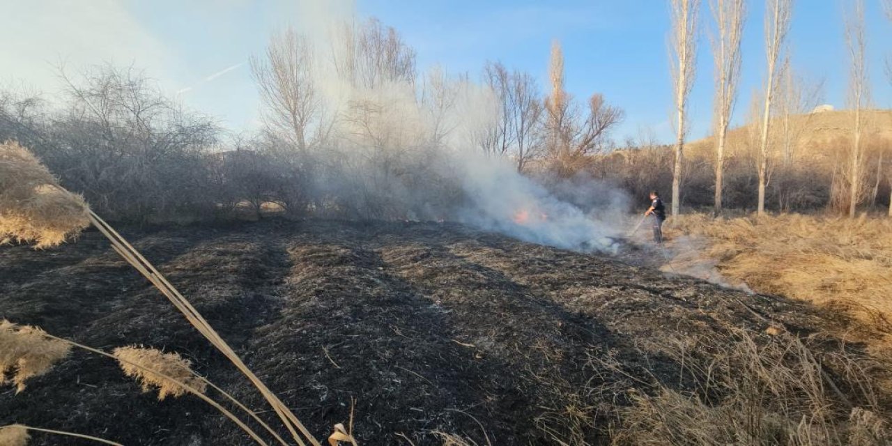 Malatya'da sazlık alanda yangın korkuttu!