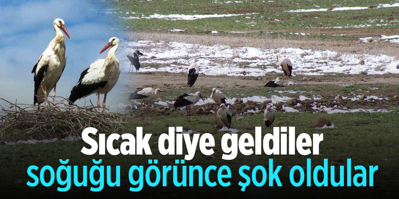 Sıcak diye Konya'ya geldiler soğuk bir anda gelince şok oldular