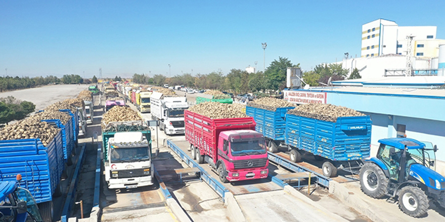 Konya Şeker 2022-2023 kampanya döneminde 500 bin ton şeker üretecek