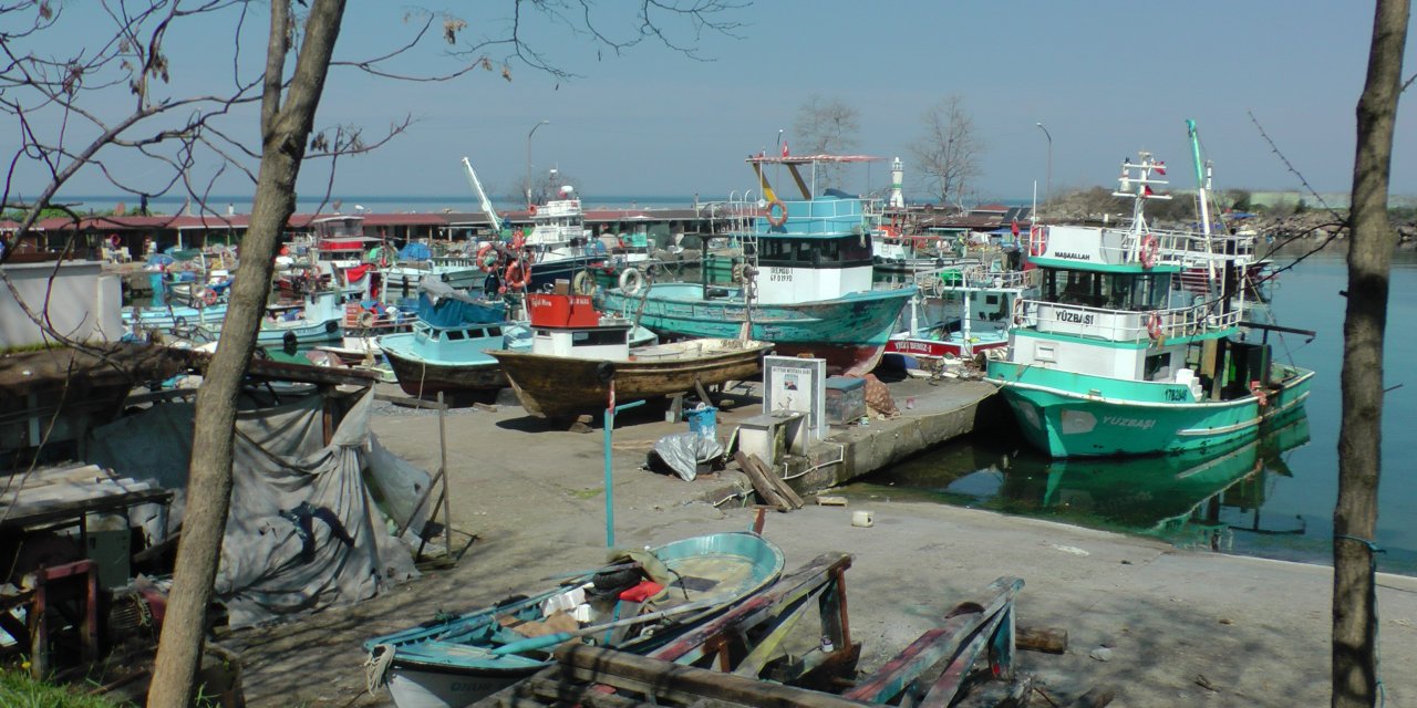 Batı Karadeniz'de balıkçılar sezonu erken kapattı!