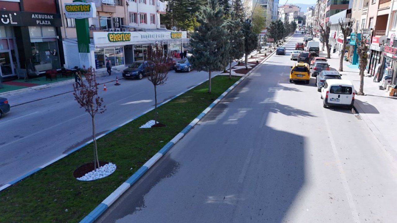 Ereğli Belediyesi Orta Refüjlerde Kuru Peyzaj Uygulaması Yapıyor!