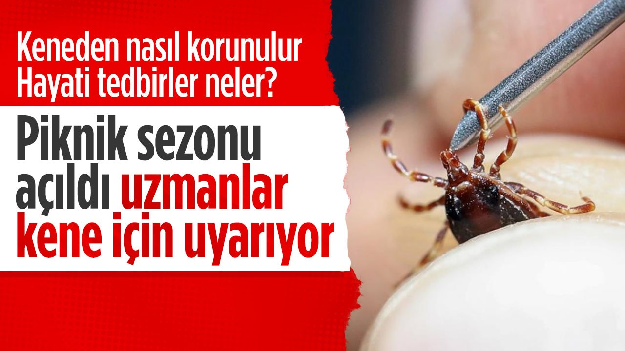 Konya'da bahar geldi uzmanlar uyarılara başladı... Hayati kene uyarıları