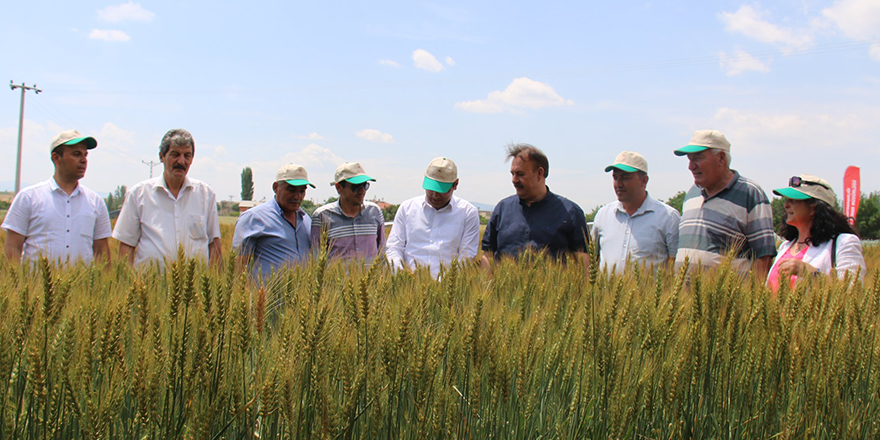 Hüyük'te tarla günü etkinliği gerçekleştirildi
