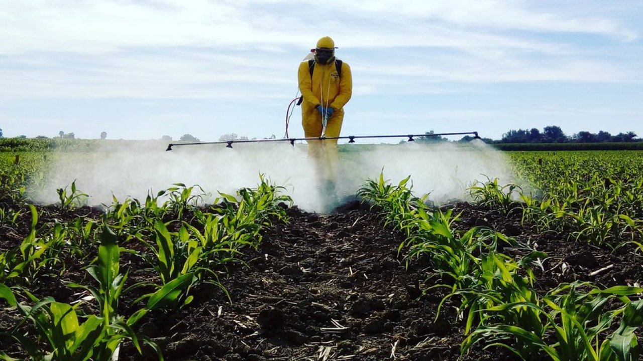 Tarımın Görünmeyen Yüzü: Pestisitler ve Etkileri!