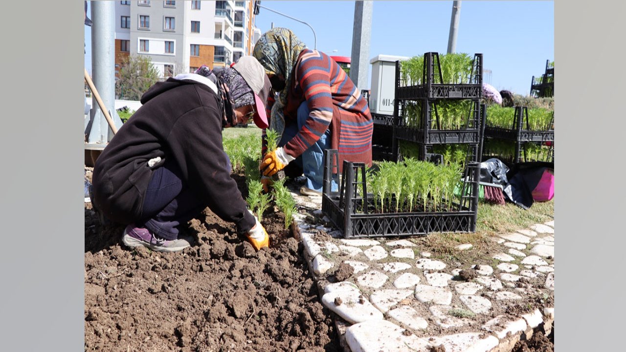 Konya'nın bu belediyesi yeşil alan çalışmalarını hızlandırdı!
