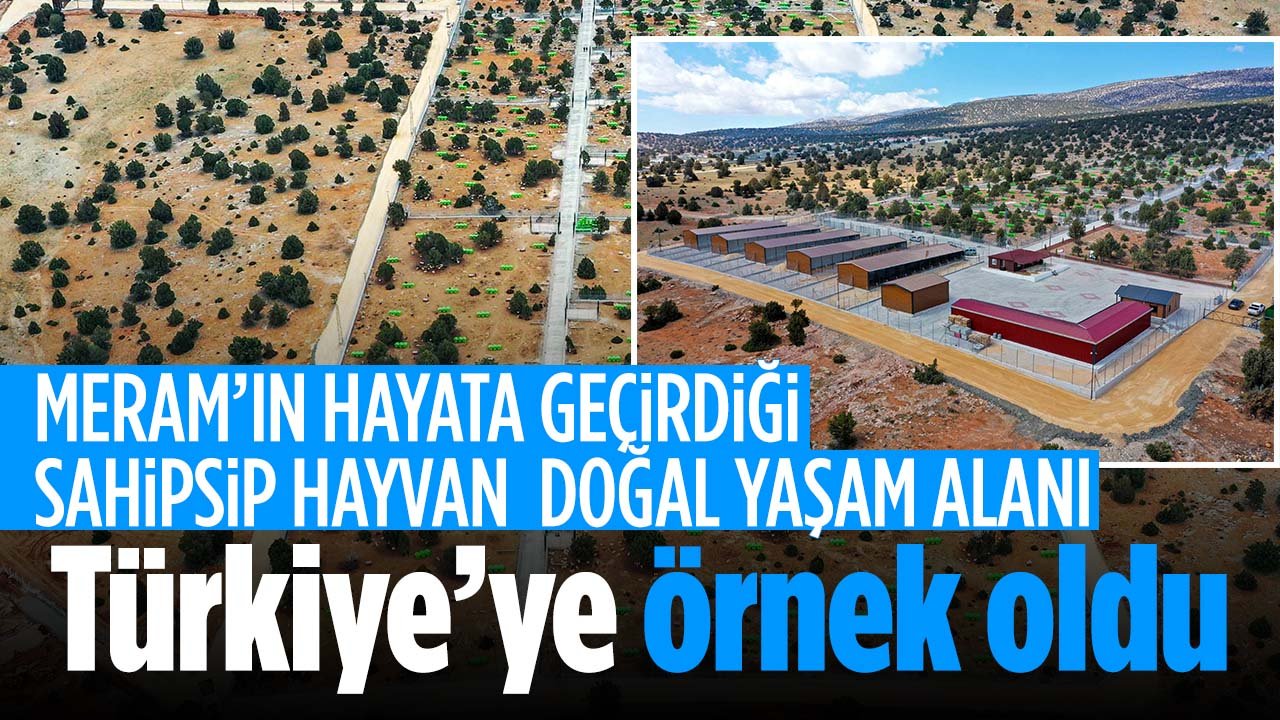 Meram'ın hayata geçirdiği Sahipsiz Hayvan Doğal Yaşam Alanı Türkiye'ye örnek oldu