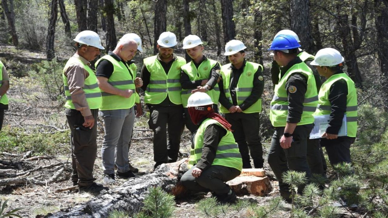 Konya'da ağaç kesim tekniklerini öğrendiler