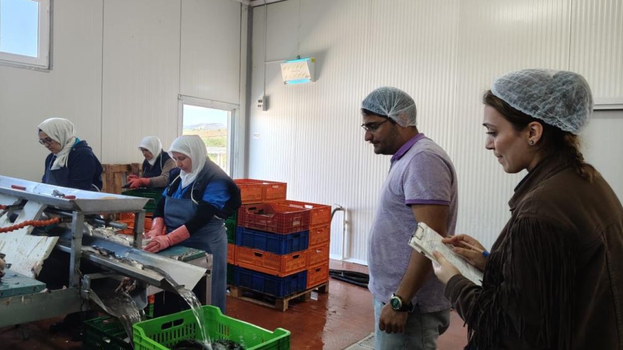 Hüyük'te balık fabrikaları denetlendi