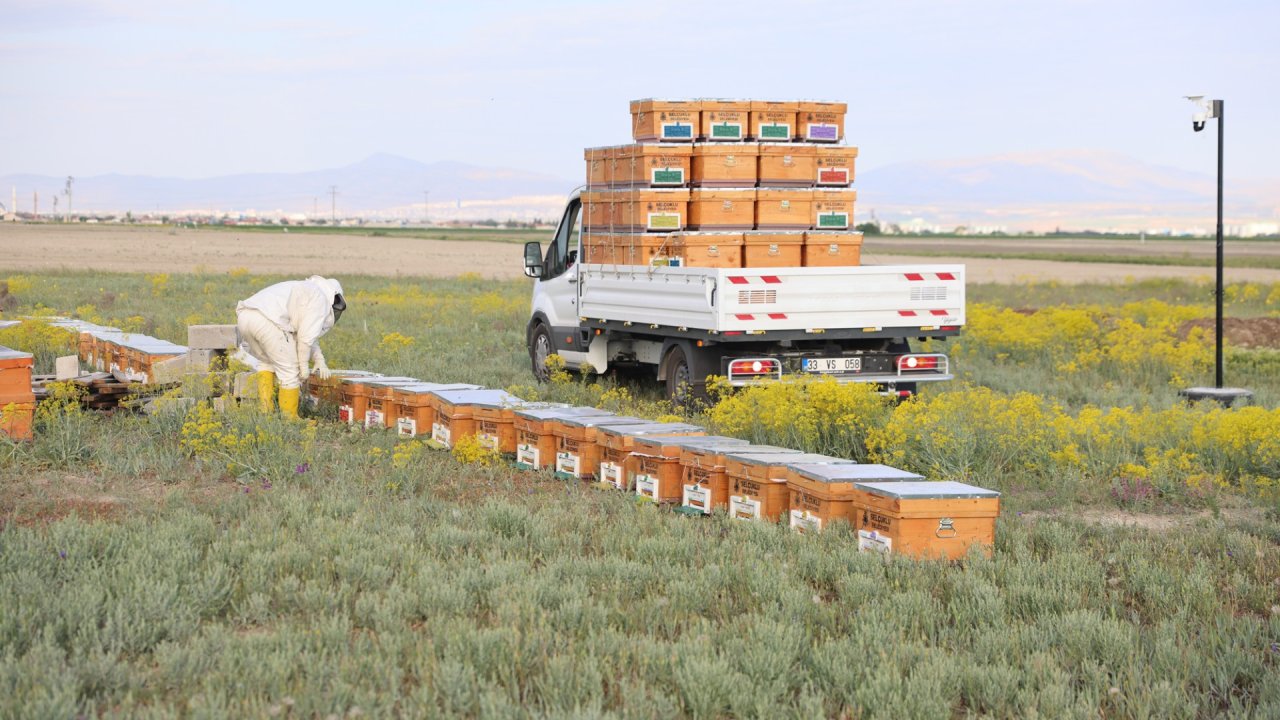 Selçuklu Arılı Kovan Desteği Projesi 3. yılında da devam ediyor! Üreticilerin arı ve kovanları dağıtıldı