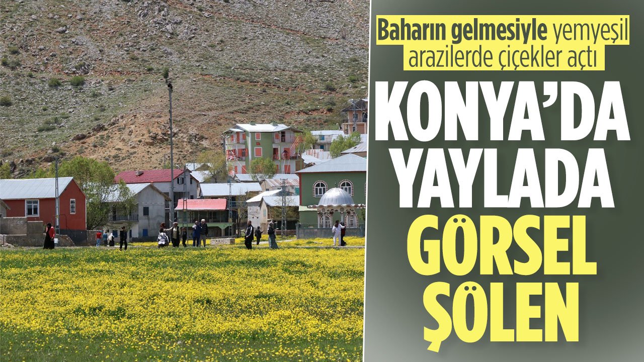 Bahar geldi Konya'da çiçekler açtı: Konya'daki yaylada kartpostallık görüntüler