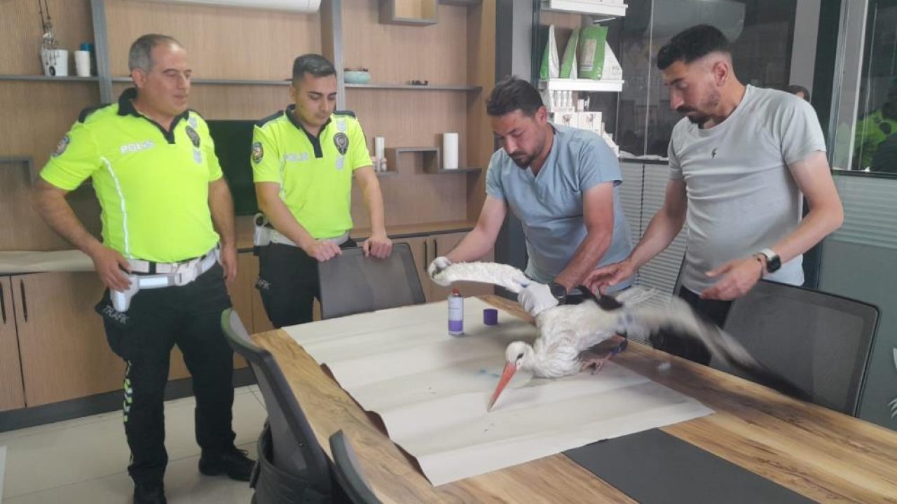 Konya'da yaralı leyleğin imdadına polis ekipleri yetişti