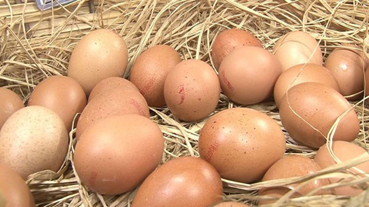 Yumurta fiyatlarında bayram müjdesi: Koli fiyatı yarı yarıya düştü!
