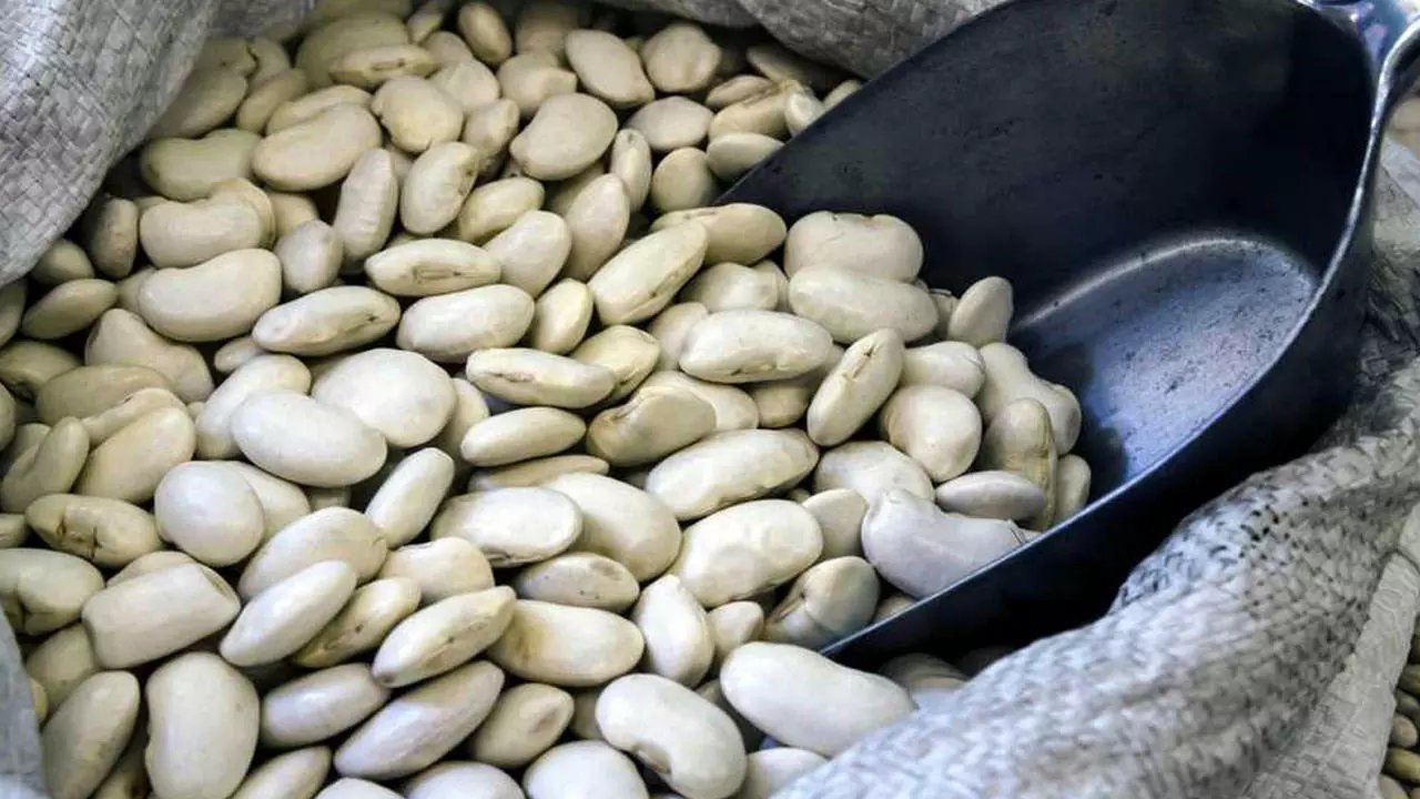 Kuru fasulyenin gaz yapmaması için ne yapılmalı? İşte en etkili yöntemler!