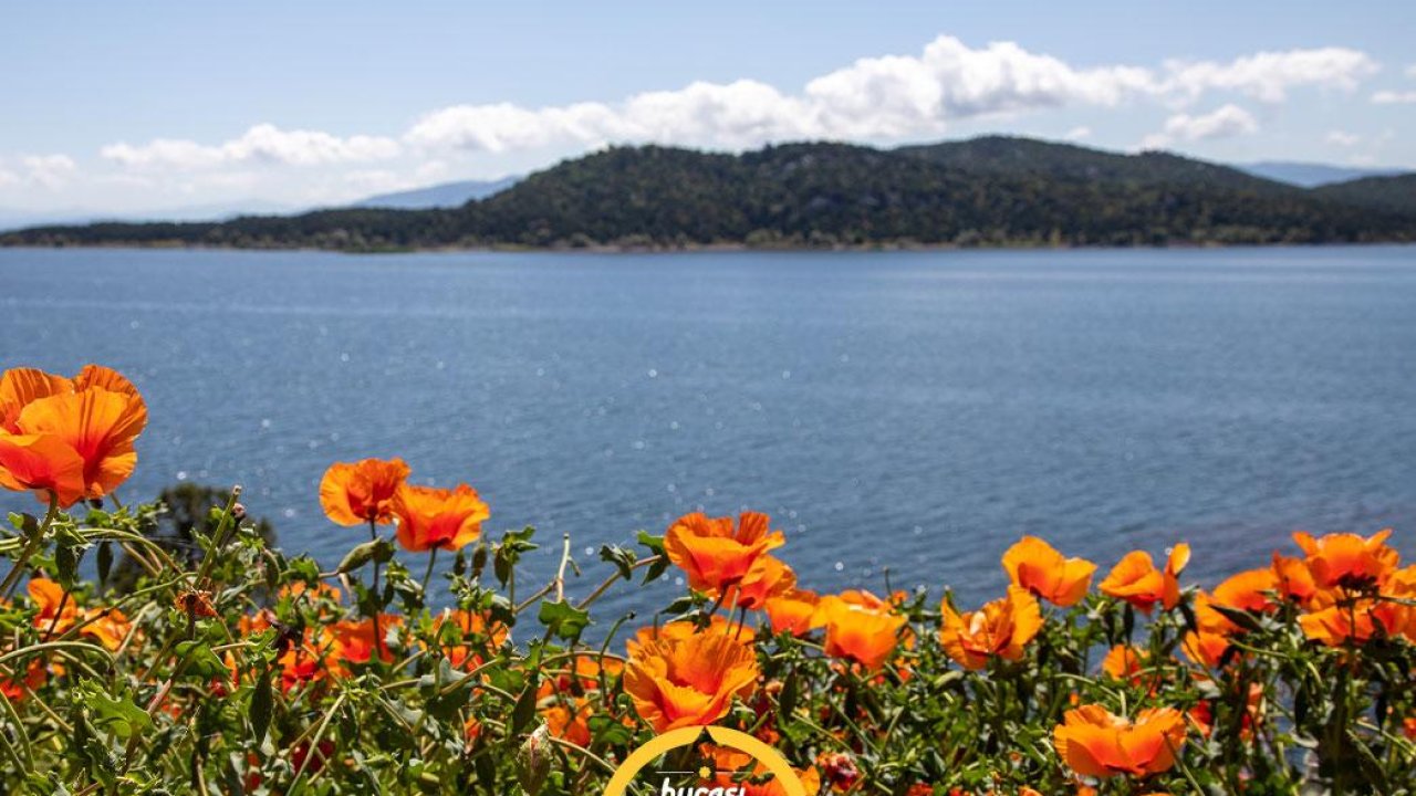 Türkiye’nin Tatlı Su Hazinesi: Beyşehir Gölü’nün Coğrafyası, Ekolojisi ve Tehlike Altındaki Su Seviyesi!