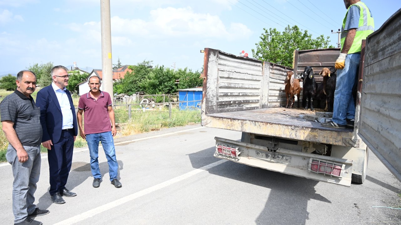 Belediye Başkanı Hasan Ustaoğlu’ndan koyunları telef olan aileye destek!