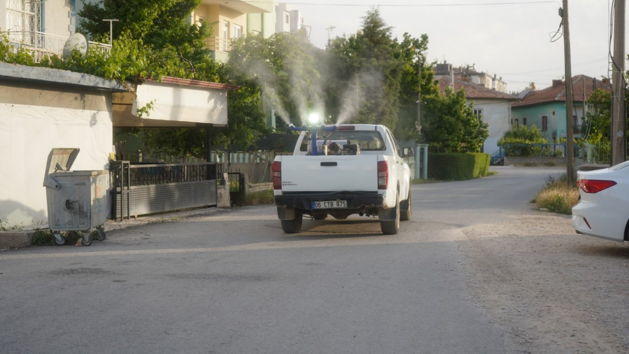 Ereğli'de sinek ve haşerelere karşı mücadele: İlaçlama çalışması yapılıyor
