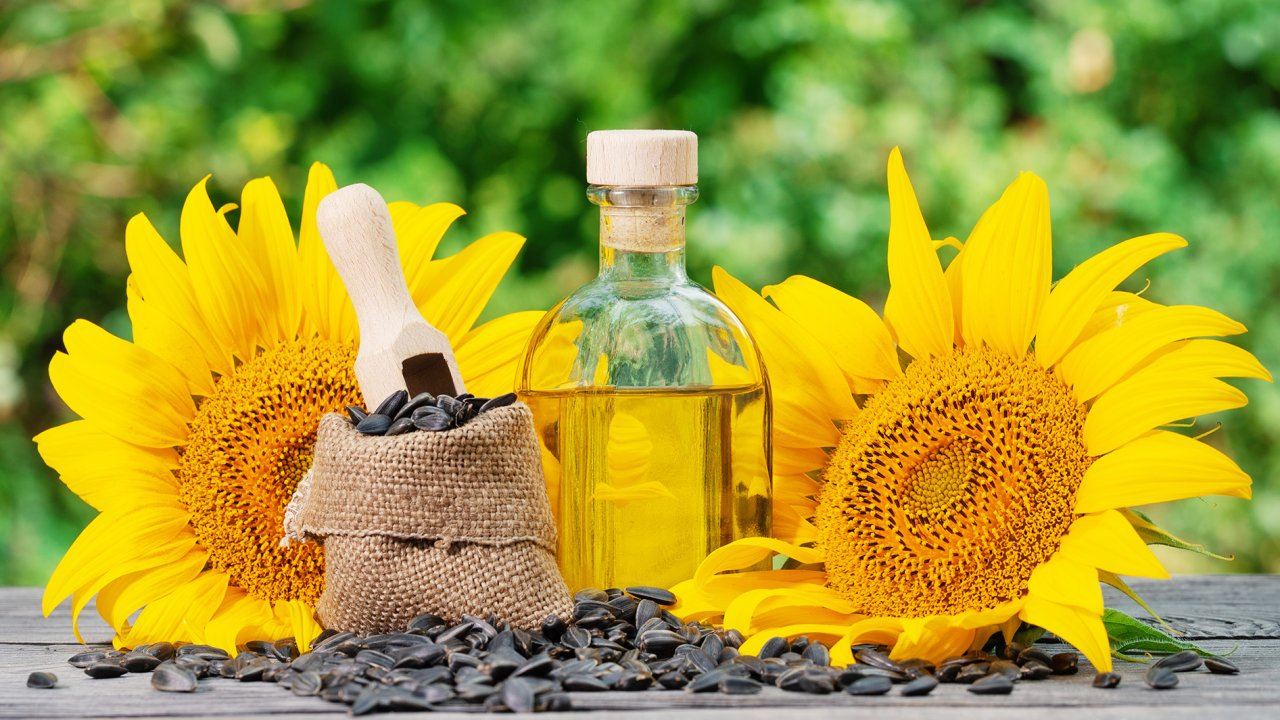 Ayçiçek ve kanola yağları zararlı mı? Bilim ne diyor?