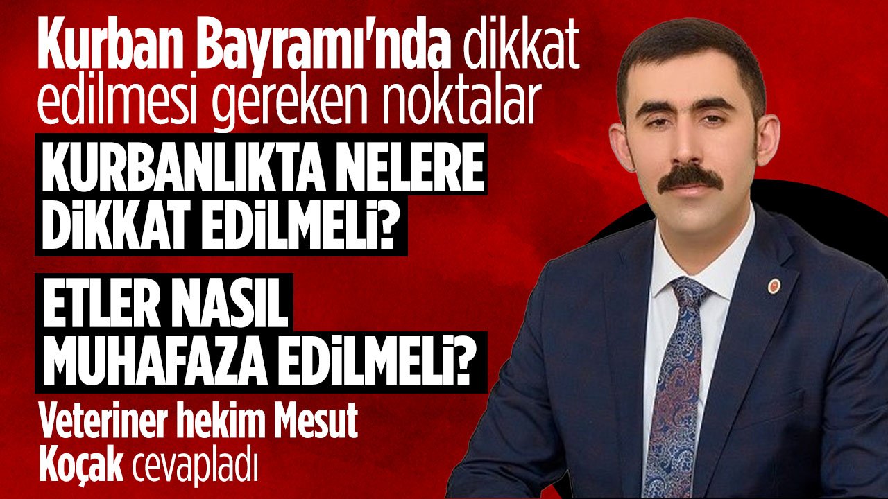 Kurbanlık alırken nelere dikkat edilmeli? Veteriner hekim Mesut Koçak cevapladı