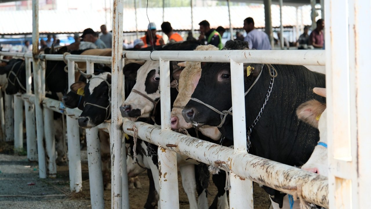 Seydişehir'de canlı hayvan pazarı, dualarla açıldı