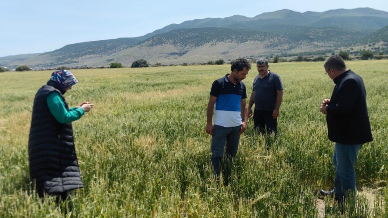 Karapınar’da dolu ve sel felaketinde etkilenen bölgelerde inceleme yapıldı