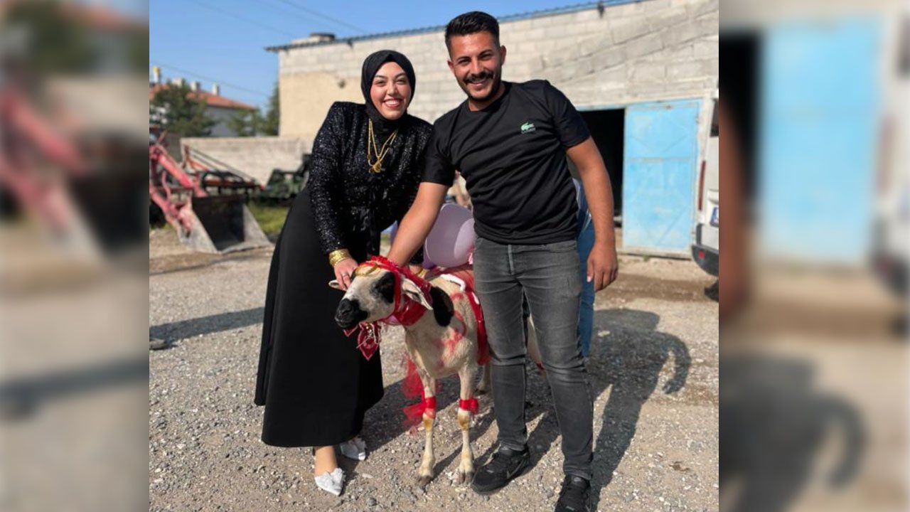 Konya'da nişanlısına süslediği koyunu hediye etti