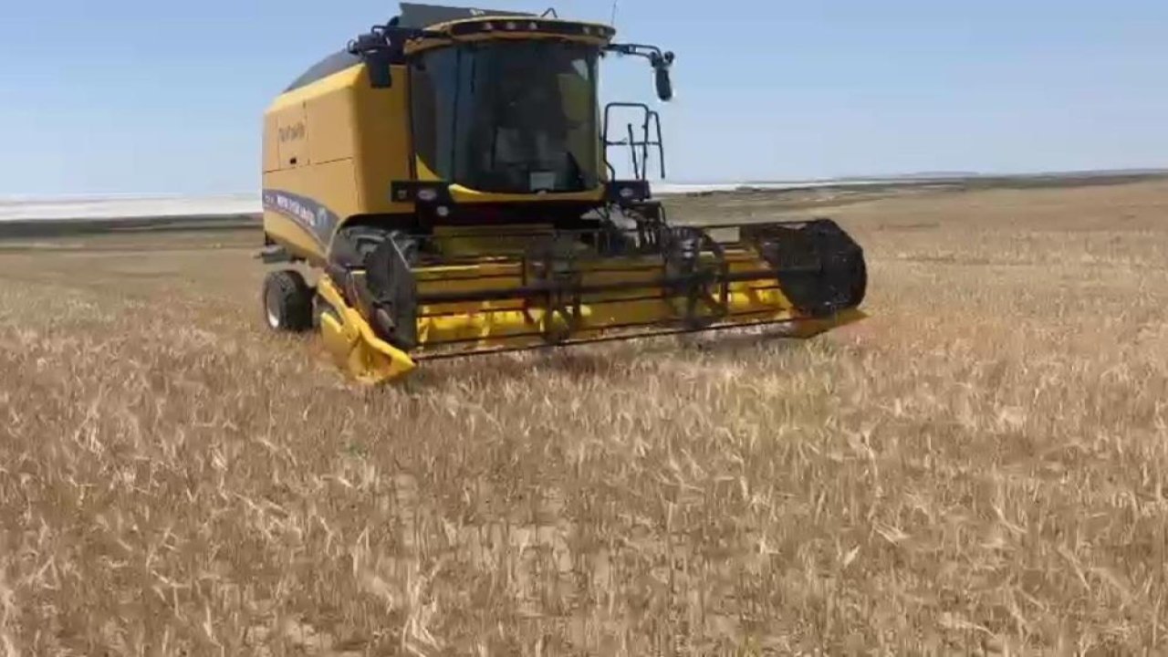 Konya ekilen arpa zamanından 3 hafta önce hasat edildi