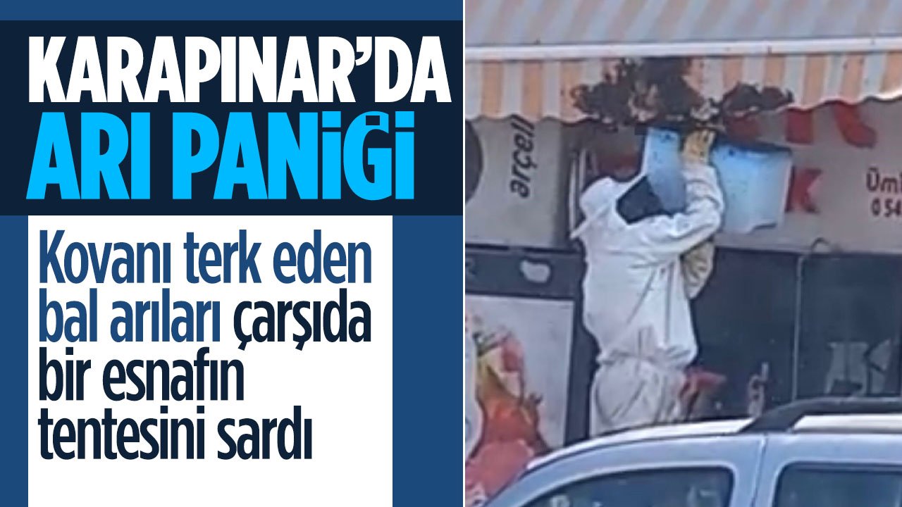 Konya'da arı paniği: Kovanı terk eden bal arıları çarşıda esnafın tentesini sardı