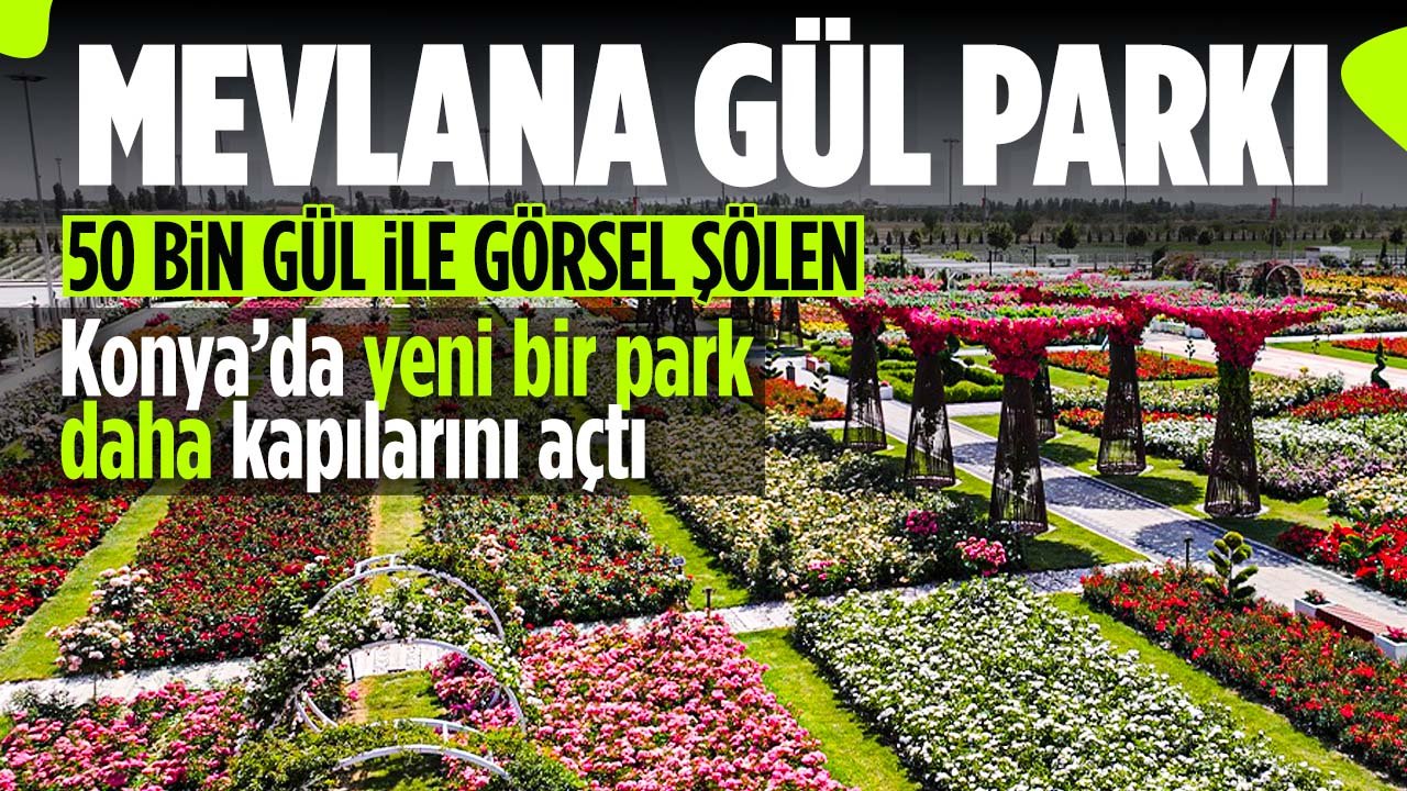Konya'da Karatay Mevlana Gül Parkı kapılarını açtı: 50 bin gül ile görsel şölen