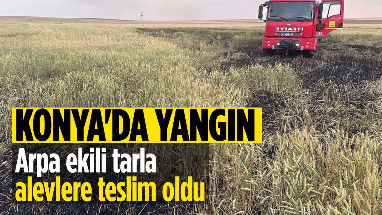 Konya'dan arpa ekili tarlada yangın