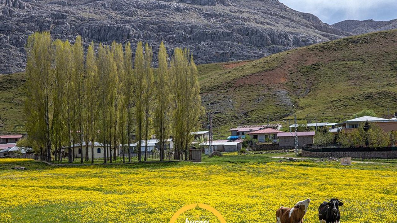 Torosların gölgesinde saklı cennet: Sülek Yaylası!