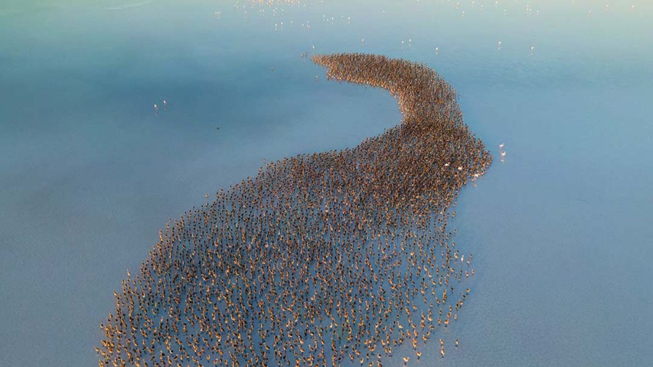 Gizemli bir miras: Tuz Gölü'nün gölgesi altında saklı doğa harikası!