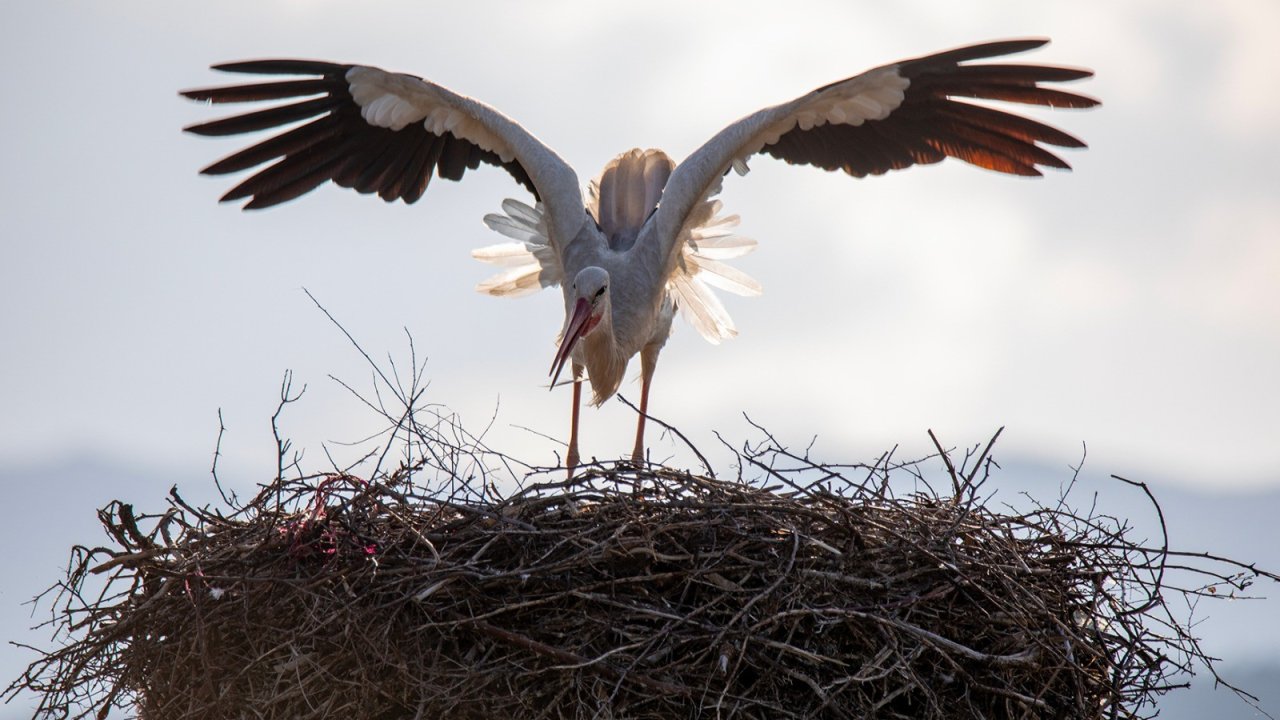 Konya'da tarihi ve doğal güzellikler objektiflere yansıdı