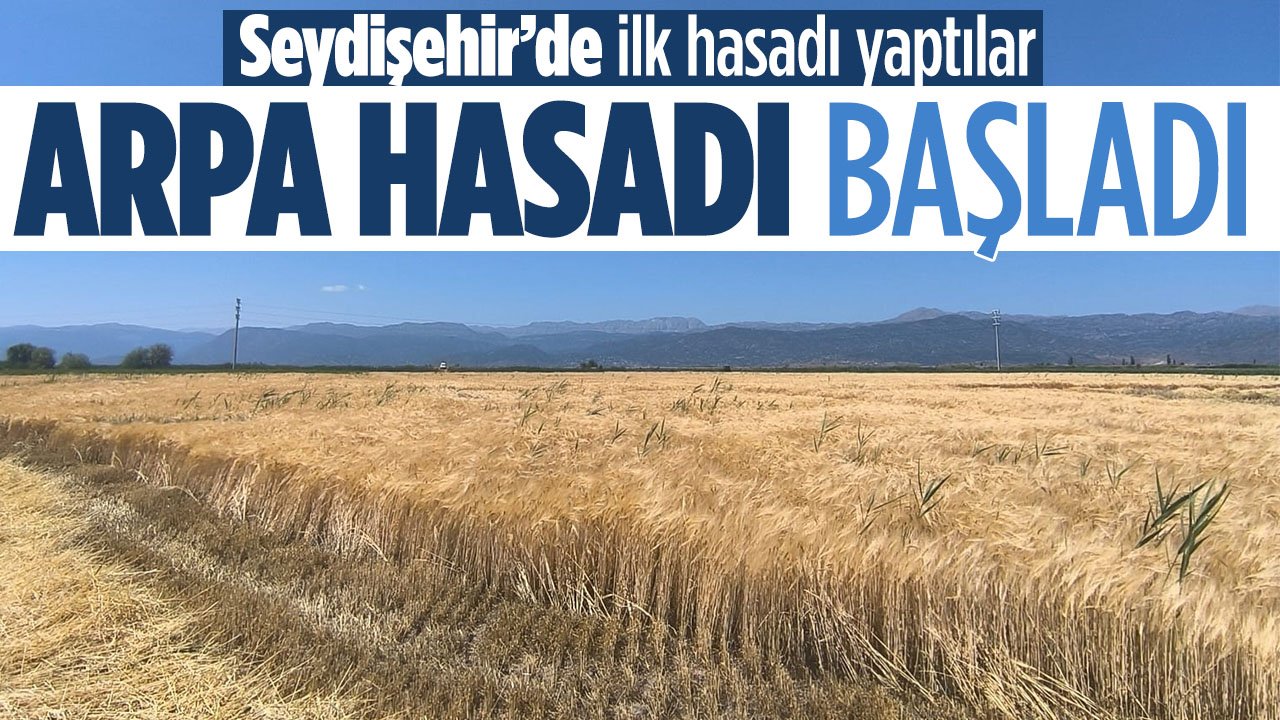 Seydişehir'de ilk hasat yapıldı: Çiftçiler 13 TL'lik alım fiyatını motive edici buldu