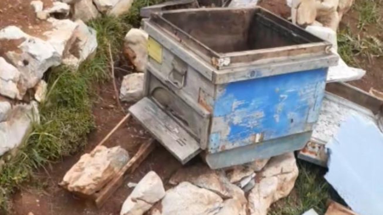 Konya'da ayılar kovanlara zarar verdi