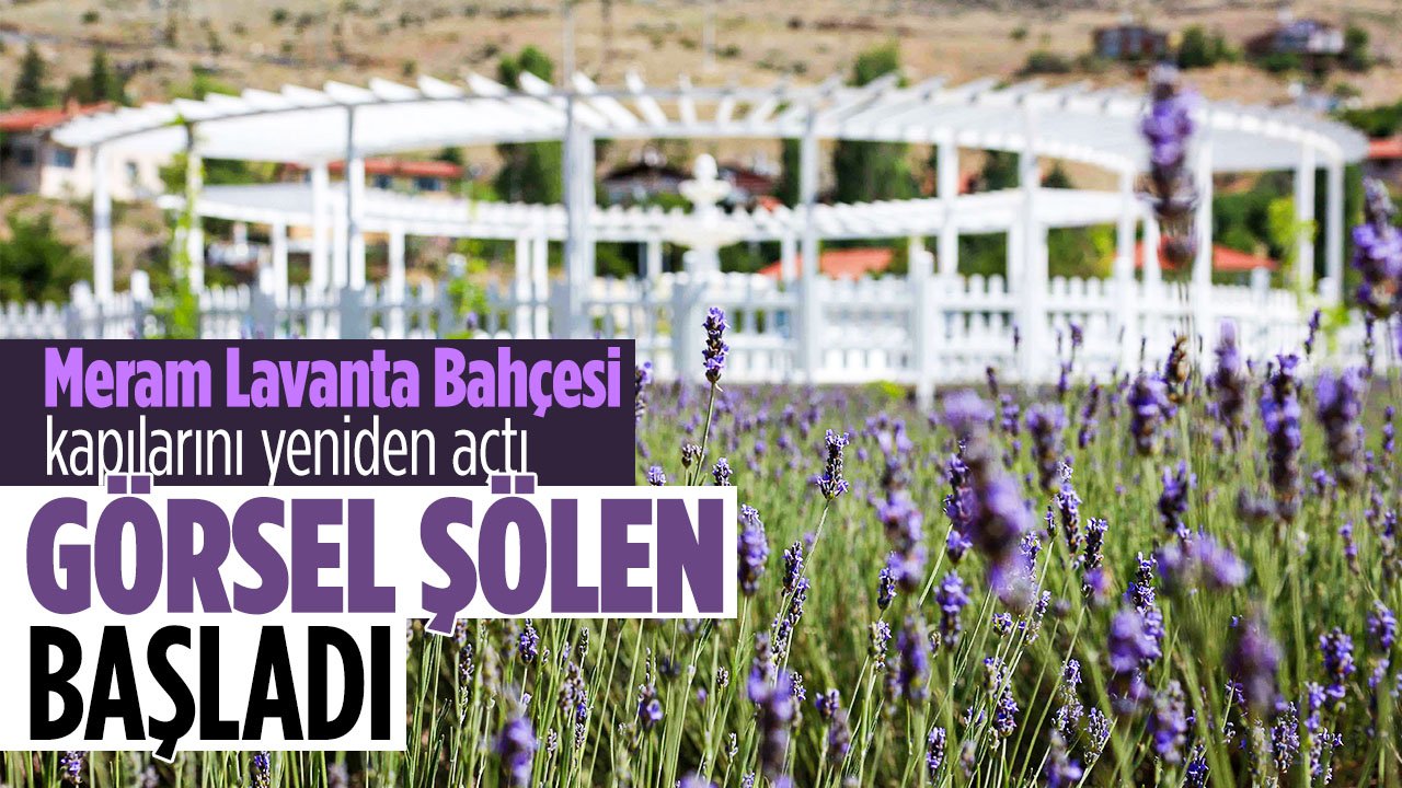 Meram'da görsel şölen başladı: Meram Lavanta Bahçesi kapılarını açtı