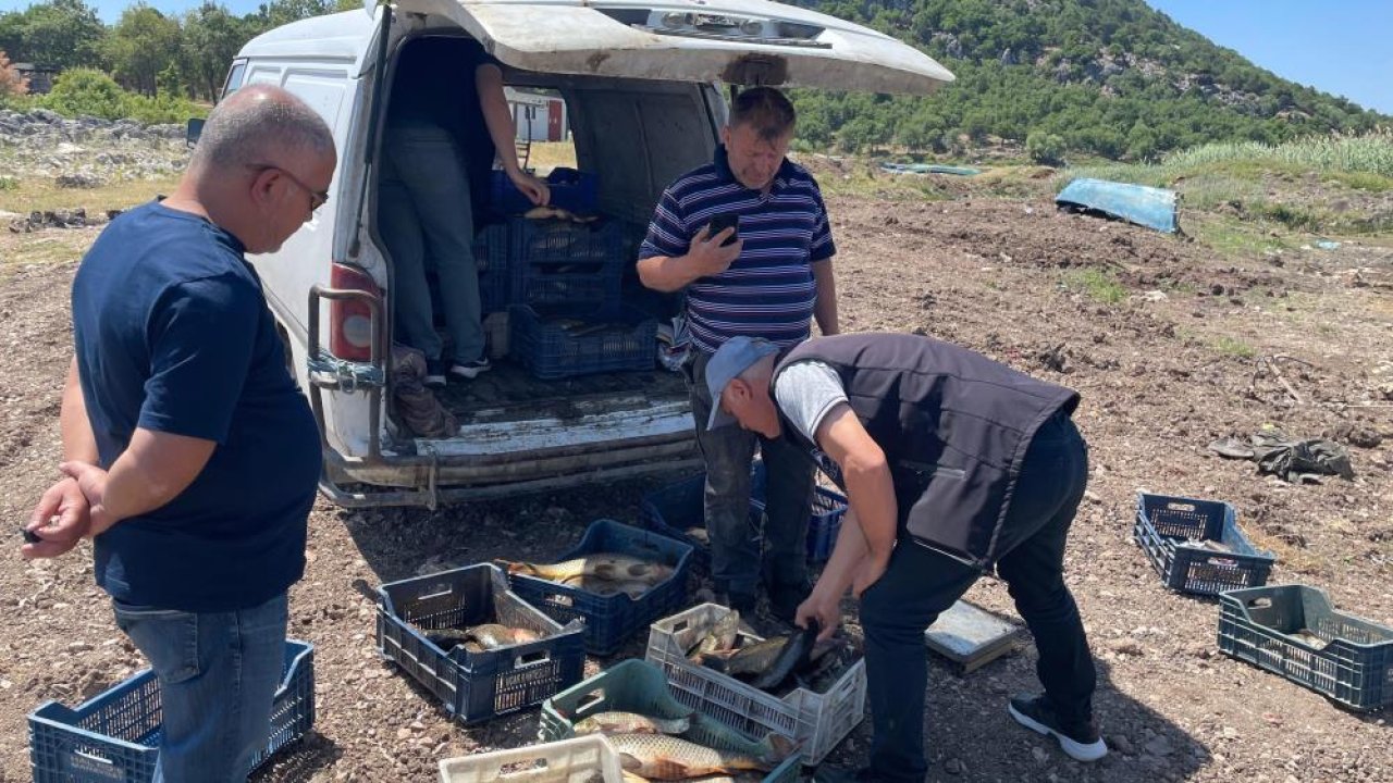 Konya'da Beyşehir Gölü'nde av sezonun başlamasıyla denetimler sıkılaştırıldı