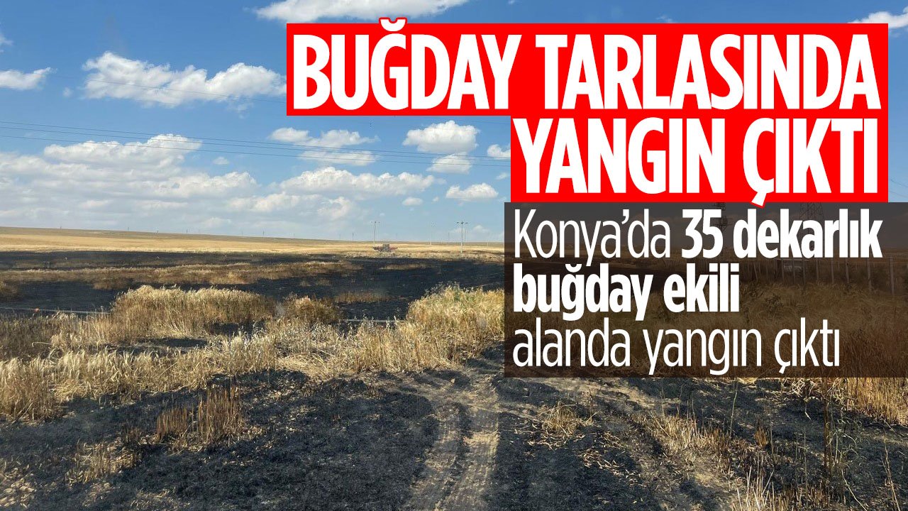 Konya Kulu'da 35 dekarlık buğday ekili tarlada yangın çıktı