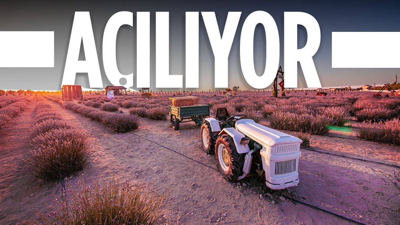 Konyalılar o günü bekliyor: Lavanta bahçesi o tarihte açılıyor