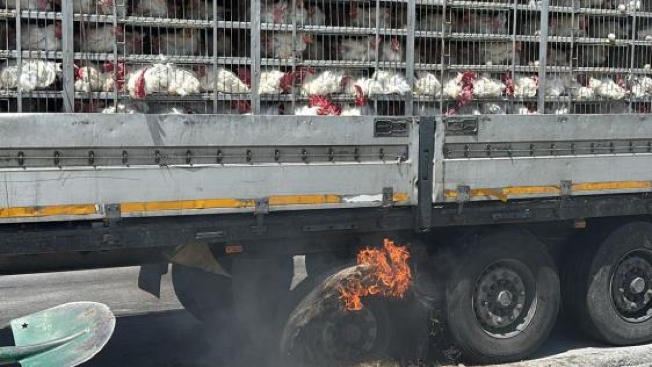 Konya'da korkutan anlar: Canlı tavuk taşıyan tırda yangın çıktı