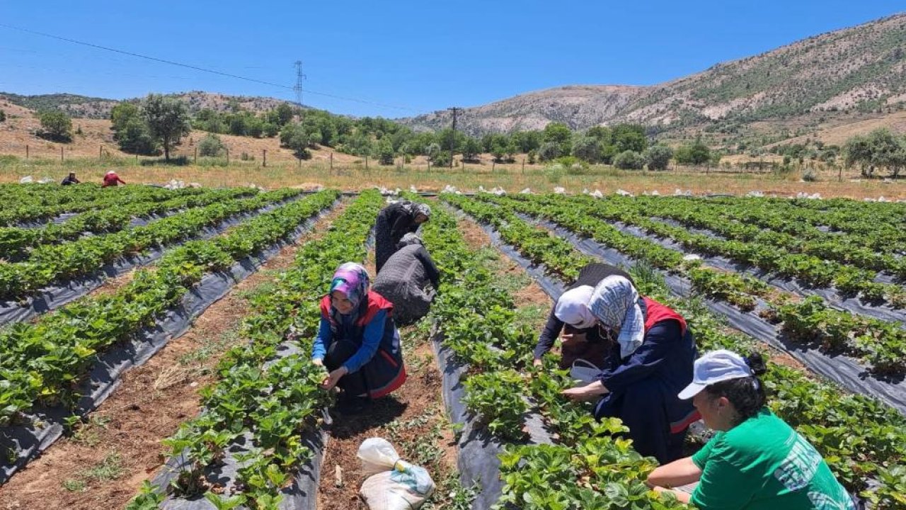 Bozkır’da kadın çiftçilere yönelik eğitim ve destek ziyaretleri sürüyor