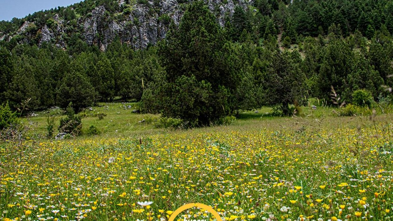 İncirli–Beşiktaş Ören Yeri: Derebucak’ın yeşil cenneti ziyaretçilerini bekliyor!