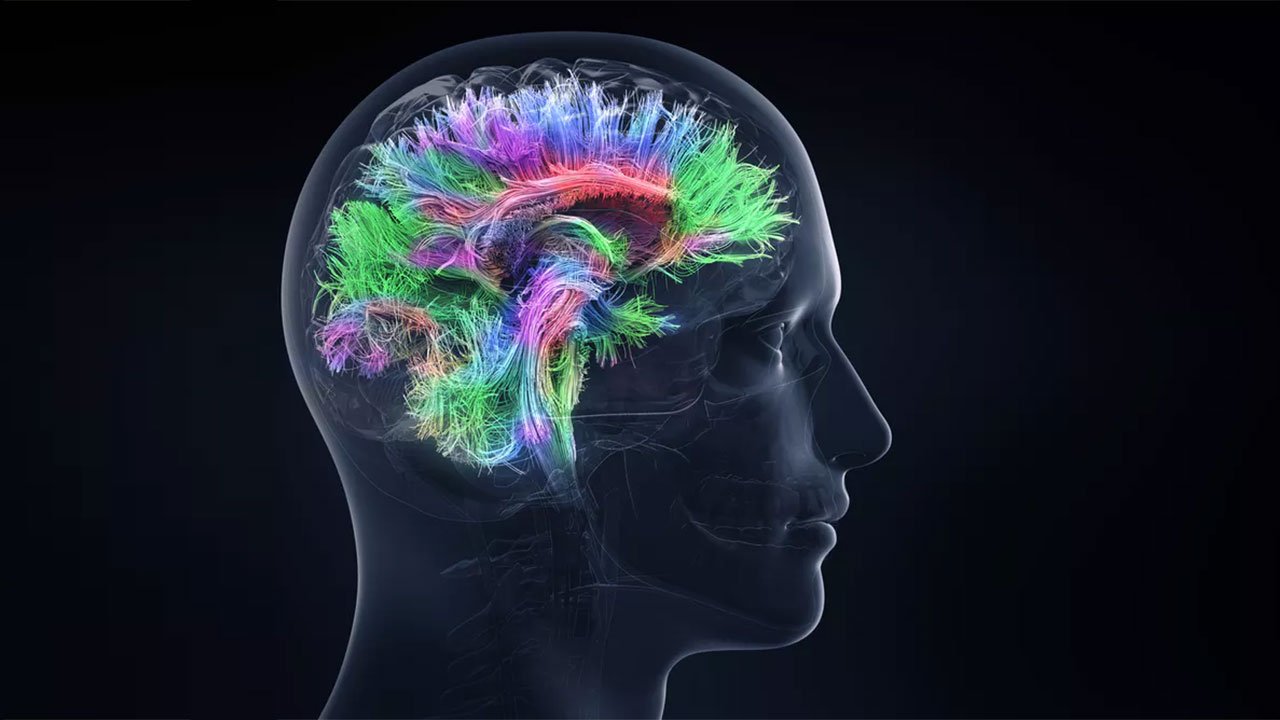 İnsan hafızası nasıl çalışır? Bilim sınırlarını ve gücünü açıklıyor!