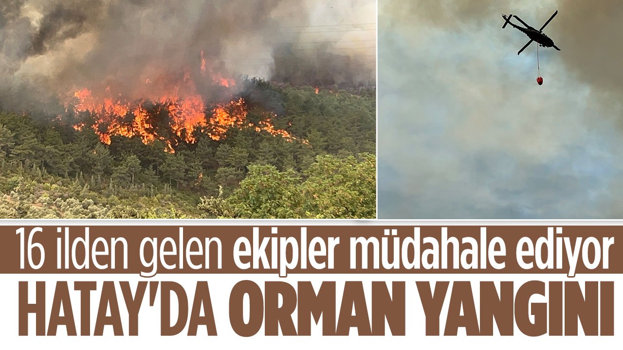 Hatay'da orman yangını: 16 ilden gelen ekipler yangın müdahale ediyor