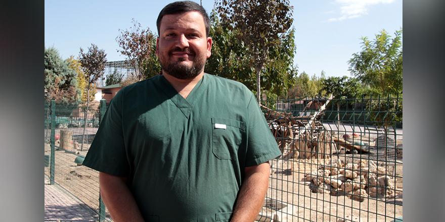 9 ayda 500'e yakın yaban hayvanı tedavi edildi