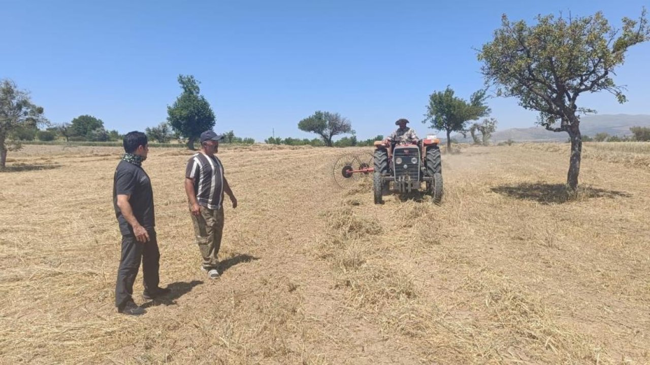 Beyşehir’de hibe destekli ekilen yem bitkilerinde hasat sürüyor