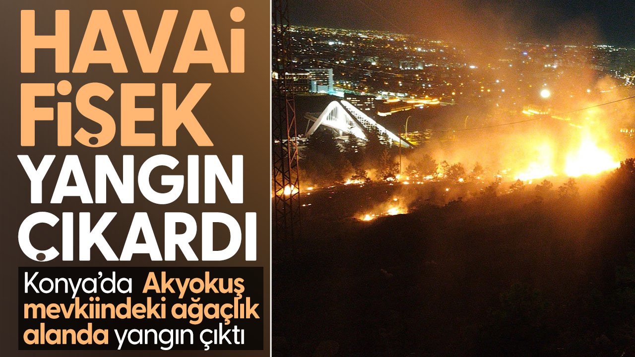 Konya'da havai fişekten dolayı ormanlık alanda yangın çıktı