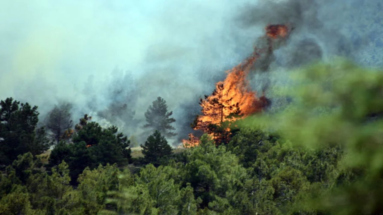 Konya'da yangın uyarısı: Sigara izmariti büyük felakete yol açabilir
