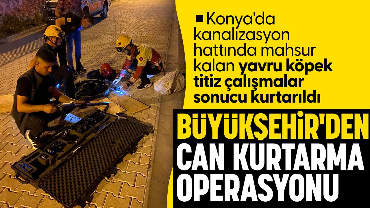 Konya'da yürekleri ısıtan kurtarma operasyonu: Yavru köpek kurtarıldı